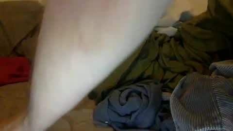 Snapshot of noah19999997 chatting on September 28, 1:16 pm Noah Warren online show from September 28, 1:16 pm