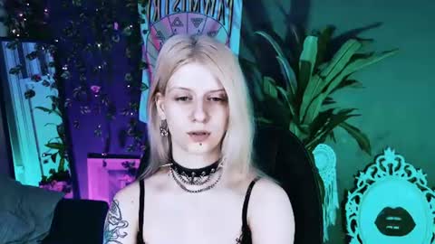 Snapshot of noah_elmer chatting on July 11, 1:25 pm REAL name LiaDM are always open online show from July 11, 1:25 pm