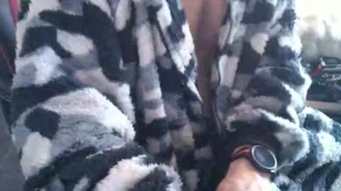 Boingyyyy online show from December 14, 2:44 pm