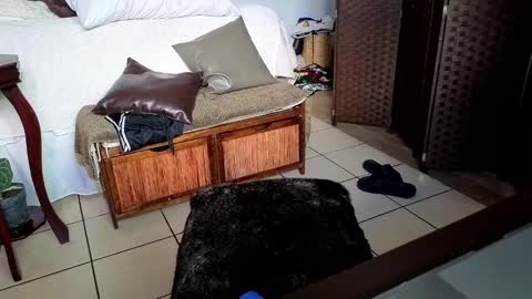 Snapshot of nobudget06 chatting on February 25, 11:00 pm nobudget06 online show from February 25, 11:00 pm