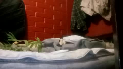 nocturnus1980 online show from September 23, 5:21 am