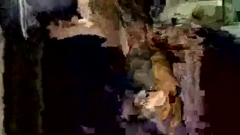 nocturnus1980 online show from December 1, 4:06 am