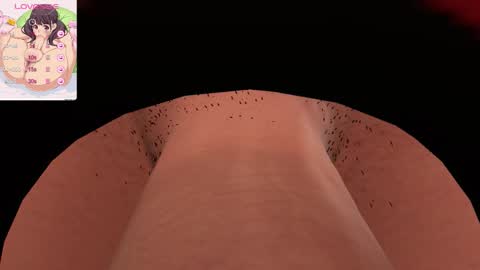 Sofi online show from December 15, 3:55 am