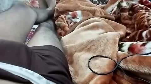 sim  nib online show from December 3, 7:11 pm