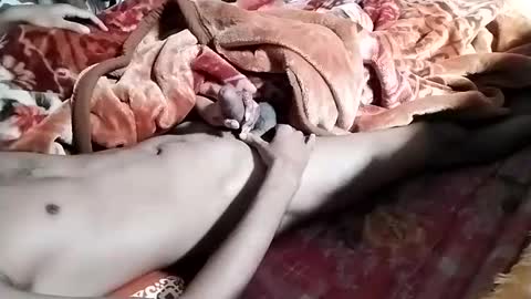 sim  nib online show from January 28, 6:38 am