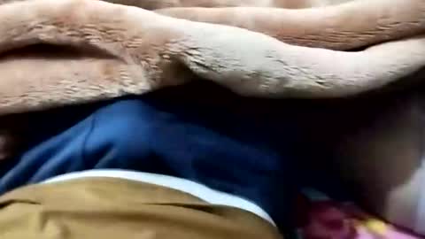 sim  nib online show from January 12, 9:09 pm