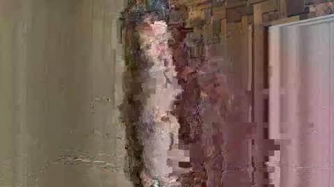 Snapshot of noodsovernudes chatting on May 26, 2:46 pm NoodsOverNudes online show from May 26, 2:46 pm
