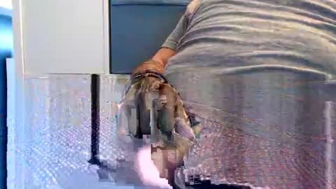 northerndaddy online show from September 23, 9:45 am