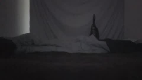 norty450 online show from February 10, 3:21 am