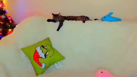 hi glad to chat online show from December 26, 7:56 am