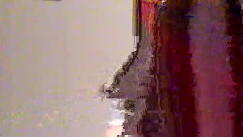 Snapshot of novahexx chatting on April 13, 1:22 am novahexx online show from April 13, 1:22 am