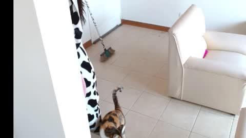 novaperotti online show from September 14, 2:05 pm