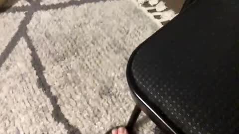 nursesteve online show from November 1, 2:57 am