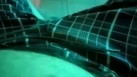 Snapshot of nuttyprofesir chatting on April 4, 1:19 pm NuttyProfesir online show from April 4, 1:19 pm