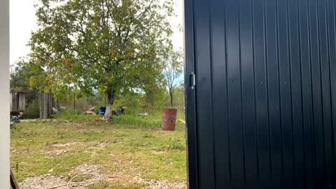 Nicol online show from September 19, 7:21 am