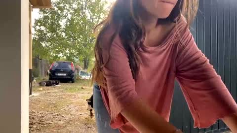 Nicol online show from September 30, 11:48 am