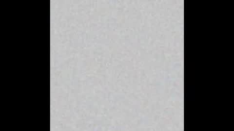 Obsidian stallion online show from January 12, 11:43 pm