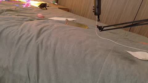 Your Ocean baby 3 online show from February 11, 1:09 pm