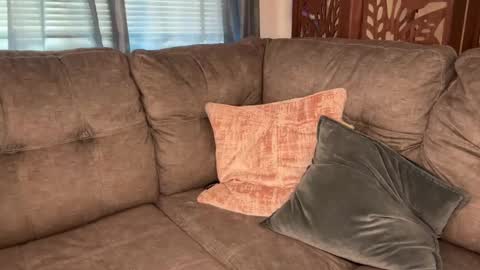 Snapshot of officiallyonlytams chatting on September 9, 3:11 pm Tams online show from September 9, 3:11 pm