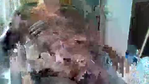 William online show from September 27, 1:38 pm