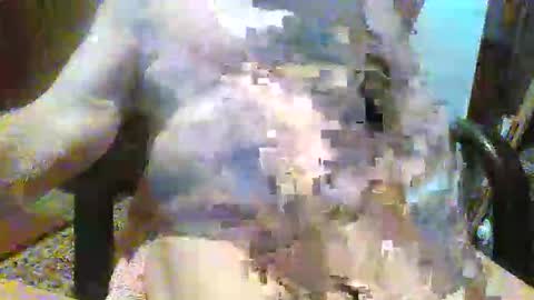 William online show from December 14, 9:19 pm