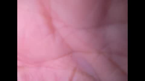 oldaddy2 online show from September 21, 7:10 am