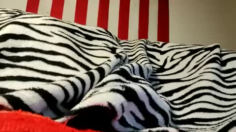 Laura online show from September 17, 4:25 am