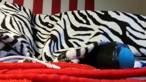 Laura online show from September 18, 6:04 am