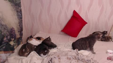 Snapshot of olivia_redd chatting on March 4, 11:00 pm Olivia online show from March 4, 11:00 pm