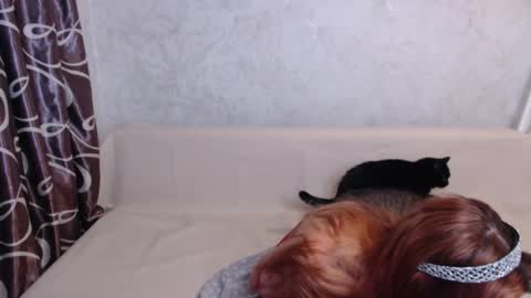 Snapshot of olivia_redd chatting on September 14, 1:49 am Olivia online show from September 14, 1:49 am