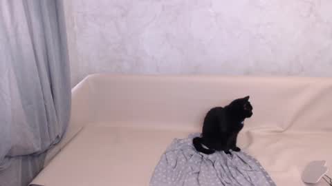 Snapshot of olivia_redd chatting on October 5, 11:41 am Olivia online show from October 5, 11:41 am