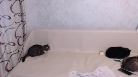 Snapshot of olivia_redd chatting on November 3, 4:25 am Olivia online show from November 3, 4:25 am