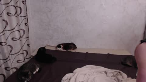 Snapshot of olivia_redd chatting on May 15, 8:49 pm Olivia online show from May 15, 8:49 pm