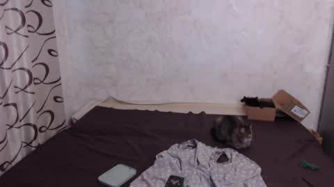 Snapshot of olivia_redd chatting on May 31, 12:56 pm Olivia online show from May 31, 12:56 pm