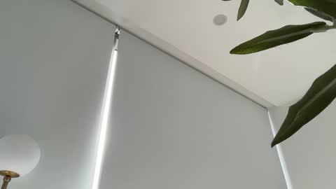 Olivia Brookes online show from November 27, 8:44 pm