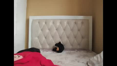 olwami4 online show from February 22, 6:57 am