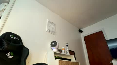 Snapshot of onedayonedollar chatting on August 1, 2:49 pm onedayonedollar online show from August 1, 2:49 pm