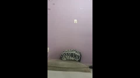 oneninjaone online show from February 4, 2:01 pm