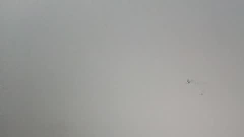 oooxxxrrr online show from January 12, 11:10 pm