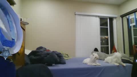 oorah1775 online show from December 22, 5:12 am