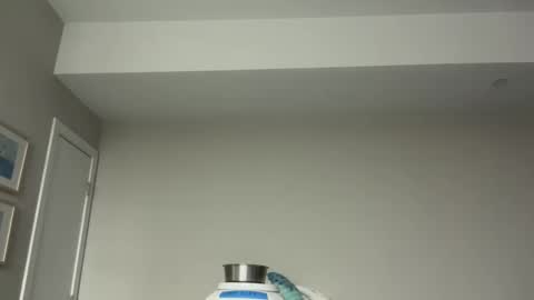 Horny and Bicurious online show from April 7, 3:18 am