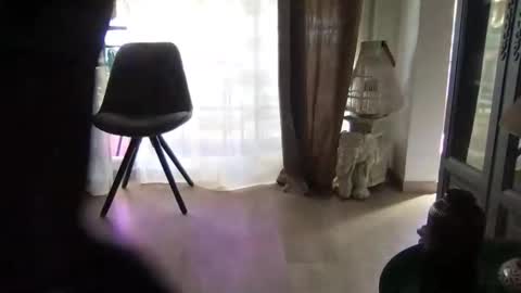 orn74 online show from March 17, 11:35 am