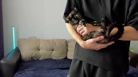 Ostin online show from March 6, 8:44 am