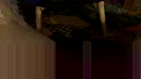 Oxo online show from October 31, 8:54 pm