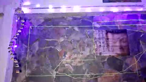 pablouyu online show from January 1, 4:18 am