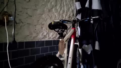 pablouyu online show from January 1, 1:05 pm