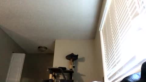 Snapshot of paigechantel chatting on February 19, 11:45 pm paigechantel online show from February 19, 11:45 pm