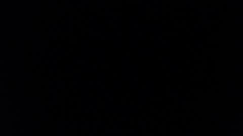 paiperhalliwey online show from February 7, 8:55 am