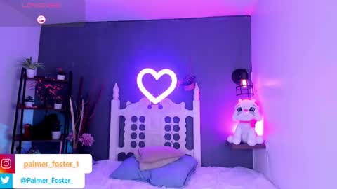 Snapshot of palmer_foster chatting on October 3, 9:01 pm Palmer online show from October 3, 9:01 pm