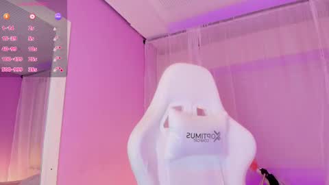  P A M  online show from February 10, 11:13 pm